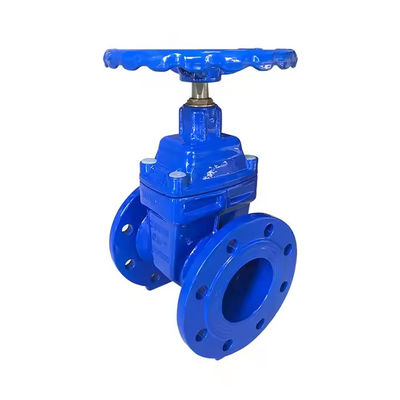 DN80mm Ductile Iron Gate Valve PN16 OEM Di Gate Valve Resilient Seated